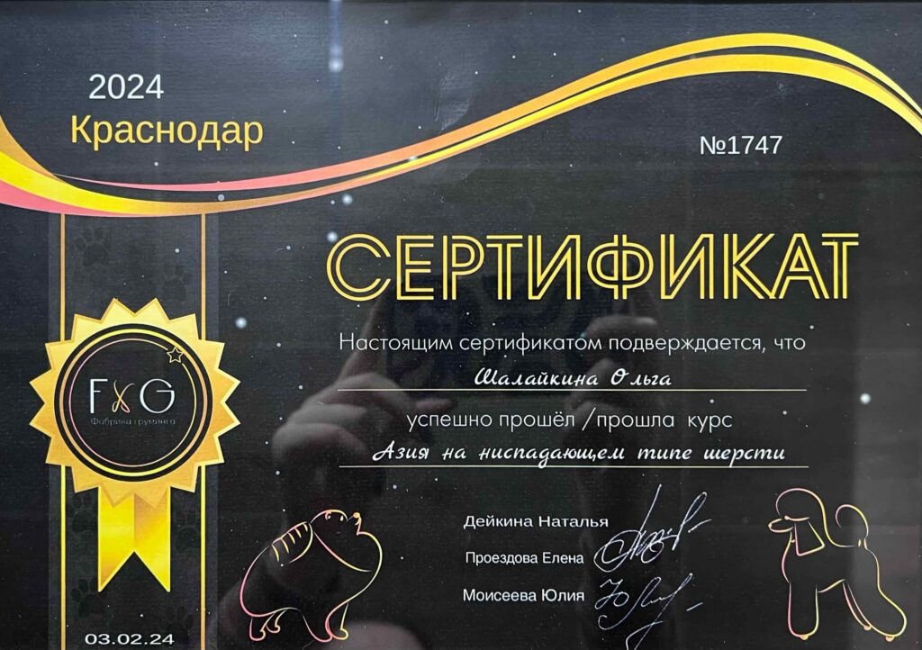 Сертификат груминг Ольги
