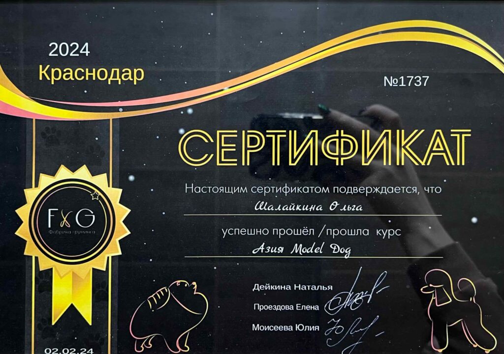 Сертификат международного образца